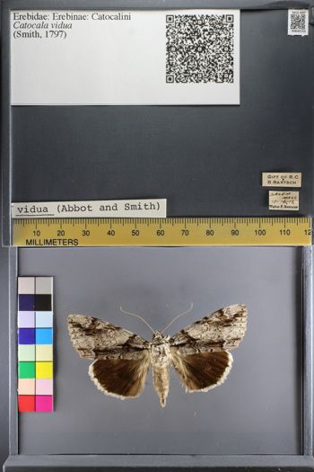 Media type: image;   Entomology 640155